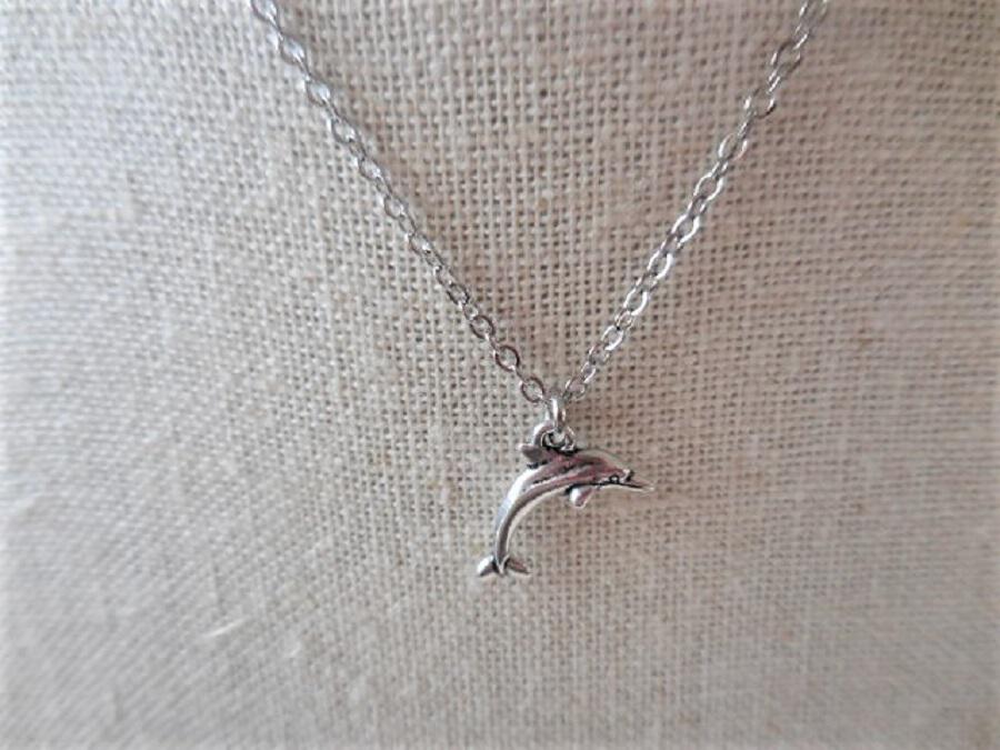 Dainty Silver Necklace with Dolphin Charm