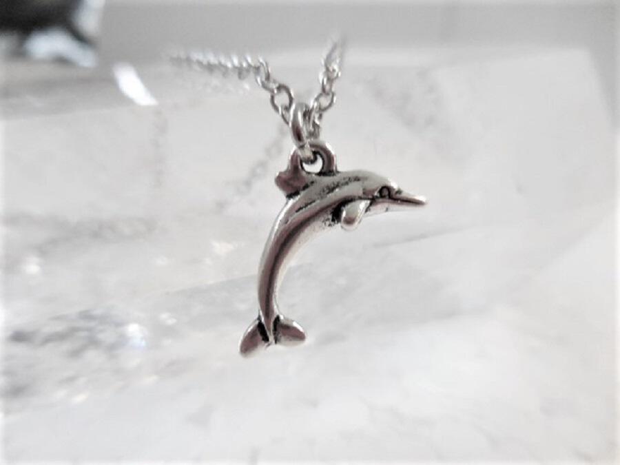 Dainty Silver Necklace with Dolphin Charm