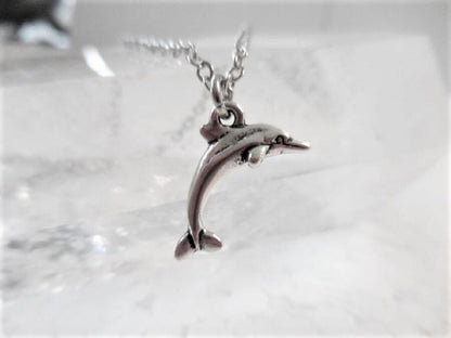 Dainty Silver Necklace with Dolphin Charm