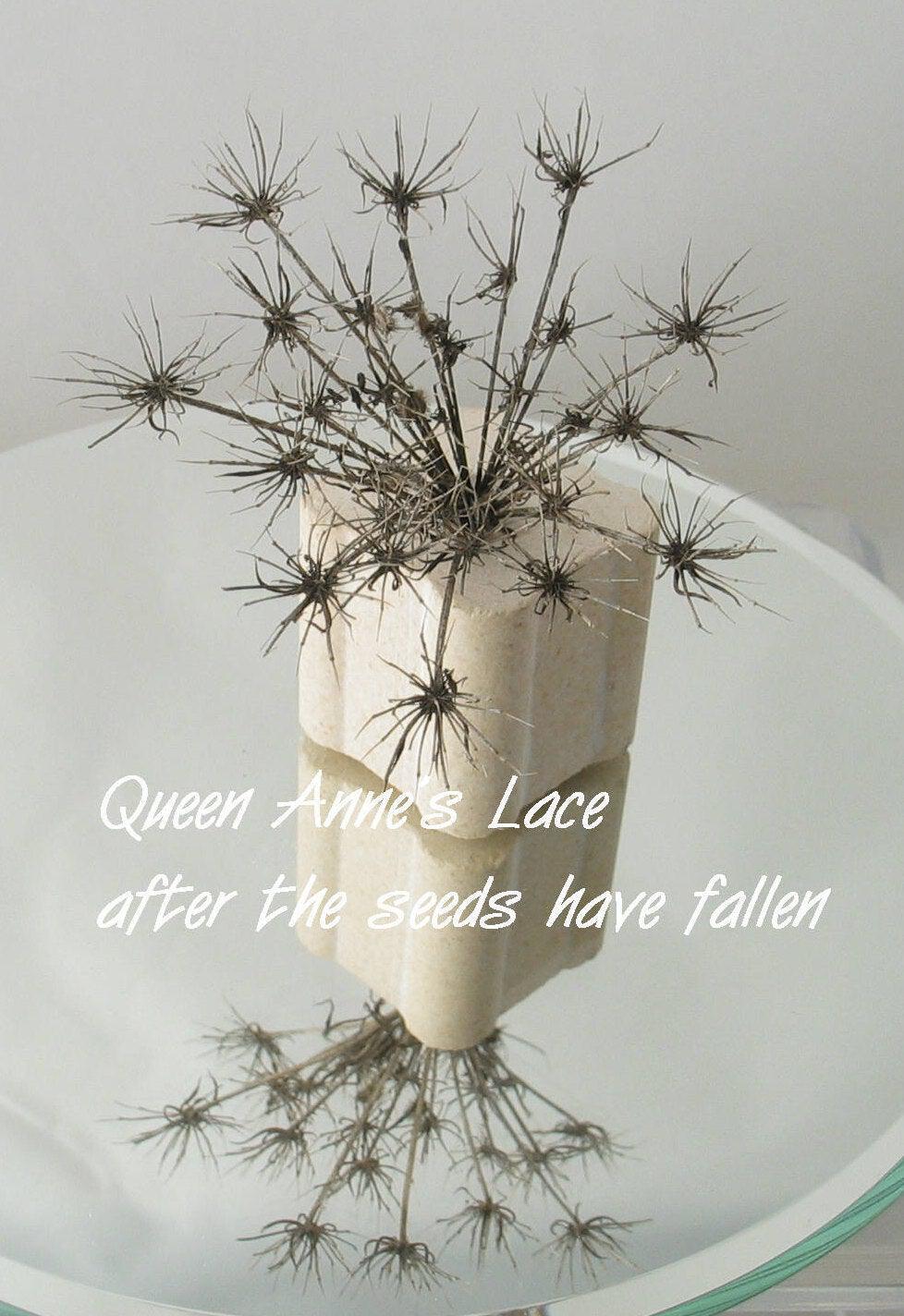 Queen Anne's Lace Copper Enamel Necklace